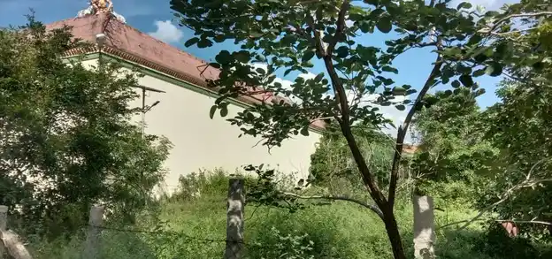 Arulmigu Meenatchi Sundhareswarar Temple, Pallattur - 630107 அருள்மிகு சுந்தரேஸ்வரர் திருக்கோயில், Pallattur - 630107, Sivagangai - Ancient Temple Architecture and History Image 4