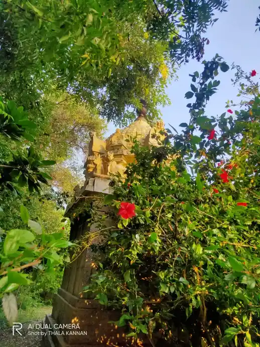 Arulmigu Meenatchisundareswarar Temple, Rayanallur - 608303 அருள்மிகு மீனாட்சிசுந்தரேஸ்வரர் திருக்கோயில், Rayanallur - 608303, Cuddalore - Ancient Temple Architecture and History Image 11