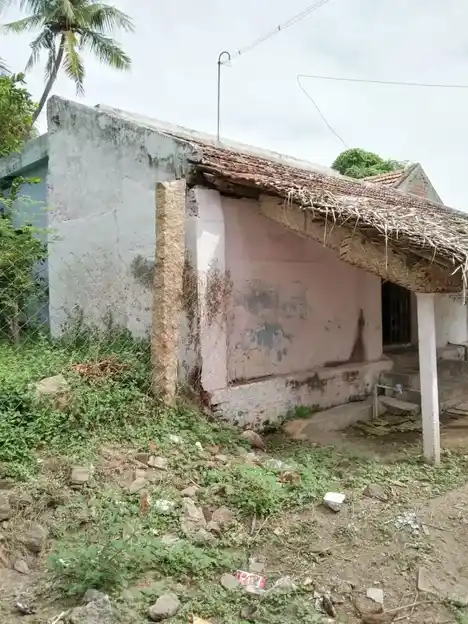Arulmigu Meenatchiyamman Temple, Thirumangalam - 621703 Arulmigu Meenatchiyamman Temple, Thirumangalam - 621703, Thiruchirappalli - Ancient Temple Architecture and History Image 2
