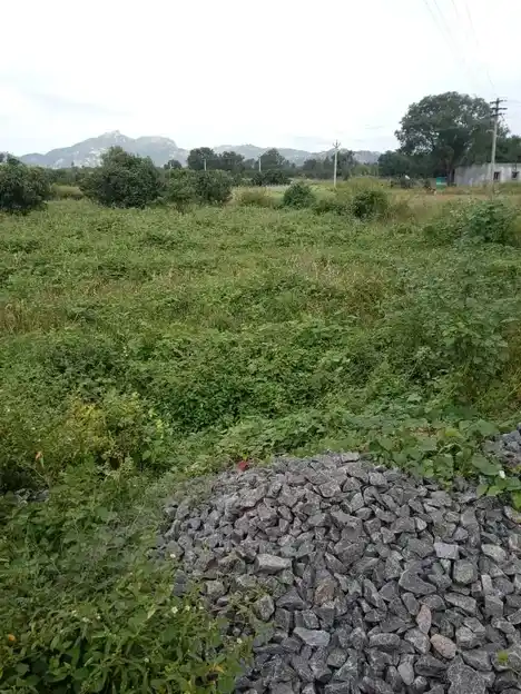 Arulmigu Meeradevathai Temple, Velagalahalli - 636805 அருள்மிகு மீராதேவதை திருக்கோயில், வெலகலஅள்ளி - 636805, Dharmapuri - Ancient Temple Architecture and History Image 2