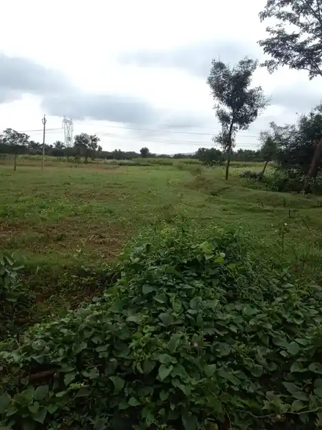 Arulmigu Meeradevathai Temple, Velagalahalli - 636805 அருள்மிகு மீராதேவதை திருக்கோயில், வெலகலஅள்ளி - 636805, Dharmapuri - Ancient Temple Architecture and History Image 3