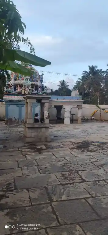 Arulmigu Meinindra Natha Swamy Temple, Keeramangalam - 614625 அருள்மிகு மெய்நின்றநாதசுவாமி திருக்கோயில், கீரமங்கலம், ஆலங்குடி வட்டம் - 614625, Pudukkottai - Ancient Temple Architecture and History Image 4
