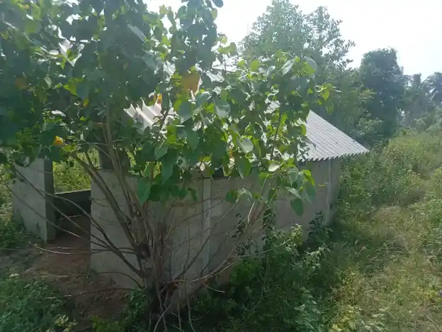 Arulmigu Meisolli Ayyanar Temple, Puvathur - 614625