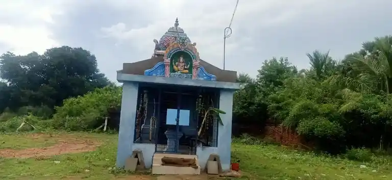 Arulmigu Meiyakka Vinayagar Temple, Vadiyakadu - 614903 Temple