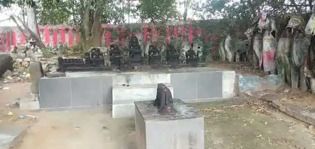 Arulmigu Meiyyanaathar Ayyanar Temple, Aariyur - 622101