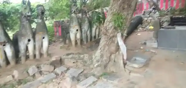 Arulmigu Meiyyanaathar Ayyanar Temple, Aariyur - 622101 அருள்மிகு மெய்யநாதர் அய்யனார் திருக்கோயில், Aariyur - 622101, Pudukkottai - Ancient Temple Architecture and History Image 5