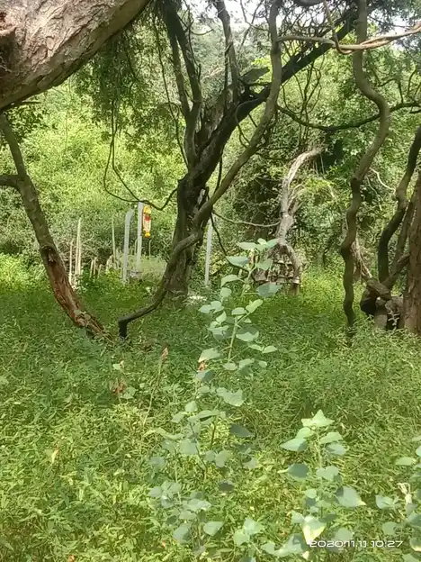 Arulmigu Melakkattu Karuppanaswamy Temple, Kunnarampatti - 625101 அருள்மிகு மேலக்காட்டு கருப்பணசாமி திருக்கோயில், Kunnarampatti - 625101, Madurai - Ancient Temple Architecture and History Image 2