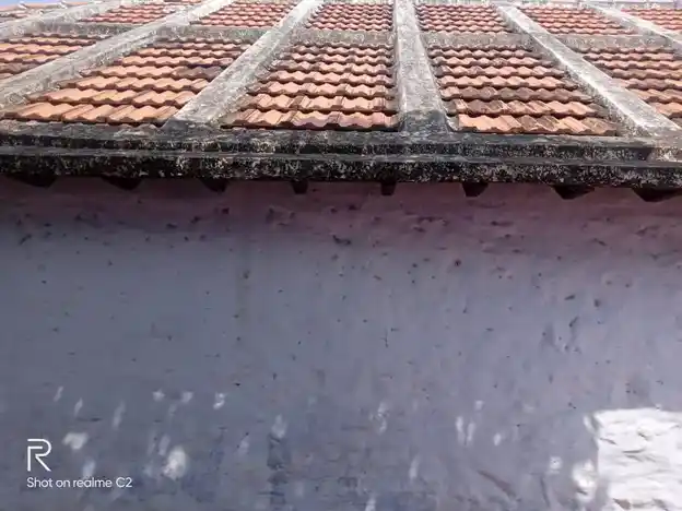 Arulmigu Melathirattu Sudalaimadasamy Temple, Govt. H.S. School, Chenbagaramanputhoor - 629301 அருள்மிகு மேலதிரட்டு சுடலைமாடசாமி திருக்கோயில், Govt. H.S. School, Chenbagaramanputhoor - 629301, Kanyakumari - Ancient Temple Architecture and History Image 5