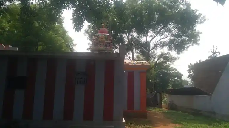 Arulmigu Melnaadu Saantror Narayanaswamy Temple, Chithamparapuram - 627501 Arulmigu Melnaadu Saantror Narayanaswamy Temple, Chithamparapuram - 627501, Tirunelveli - Ancient Temple Architecture and History Image 2