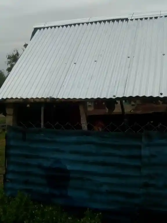 Arulmigu Menachsundareshwar Temple, Kezapalaiyur - 612602 அருள்மிகு மீனாட்சி சுந்தரேஸ்வரர் திருக்கோயில், Kezapalaiyur, Kezapalaiyur - 612602, Thiruvarur - Ancient Temple Architecture and History Image 3