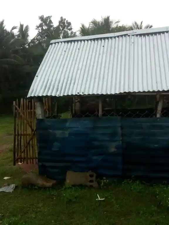 Arulmigu Menachsundareshwar Temple, Kezapalaiyur - 612602 அருள்மிகு மீனாட்சி சுந்தரேஸ்வரர் திருக்கோயில், Kezapalaiyur, Kezapalaiyur - 612602, Thiruvarur - Ancient Temple Architecture and History Image 4