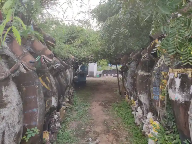 Arulmigu Mennamudaiya Ayyanar Temple, Panchatthi - 614616 அருள்மிகு மென்னமுடைய அய்யனார் திருக்கோயில் பஞ்சாத்தி, Panchatthi - 614616, Pudukkottai - Ancient Temple Architecture and History Image 5