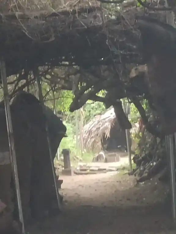 Arulmigu Mennamudaiya Ayyanar Temple, Panchatthi - 614616 அருள்மிகு மென்னமுடைய அய்யனார் திருக்கோயில் பஞ்சாத்தி, Panchatthi - 614616, Pudukkottai - Ancient Temple Architecture and History Image 7