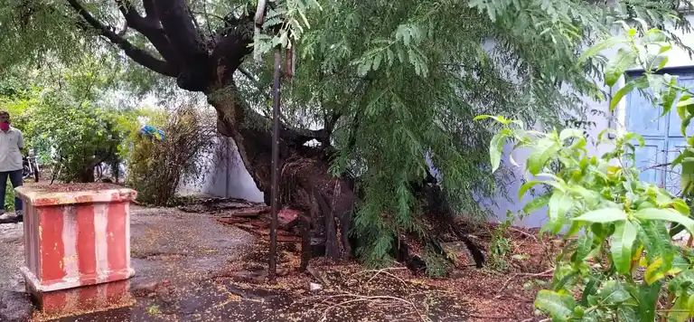 Arulmigu Methadiyan Temple, Thuraiyur - 621002 Arulmigu Methadiyan Temple, Thuraiyur - 621002, Thiruchirappalli - Ancient Temple Architecture and History Image 5