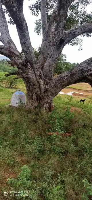 Arulmigu Meyyampattti Vinayagar Temple, Puthaanattham - 621305 Arulmigu Meyyampattti Vinayagar Temple, Puthaanattham - 621305, Thiruchirappalli - Ancient Temple Architecture and History Image 3