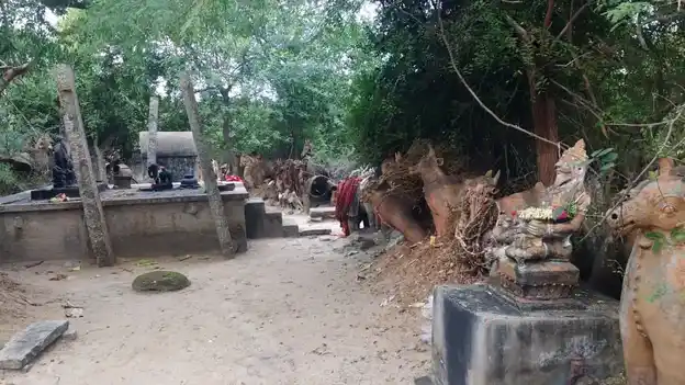Arulmigu Meyyapperumal Temple, Keelakkurichi - 622101 Temple