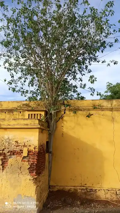Arulmigu Moola Maha Ganapathy Temple, Srimulakkarai - 628601