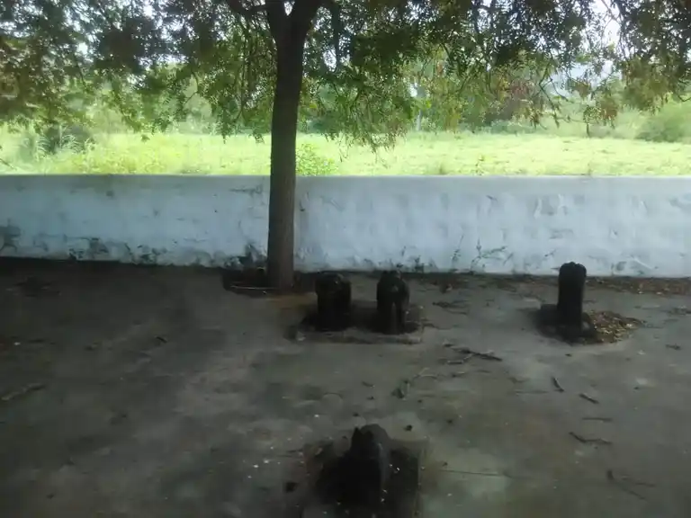 Arulmigu Mooppanar, Ayyanar Temple, Thurai Mangalam - 621220