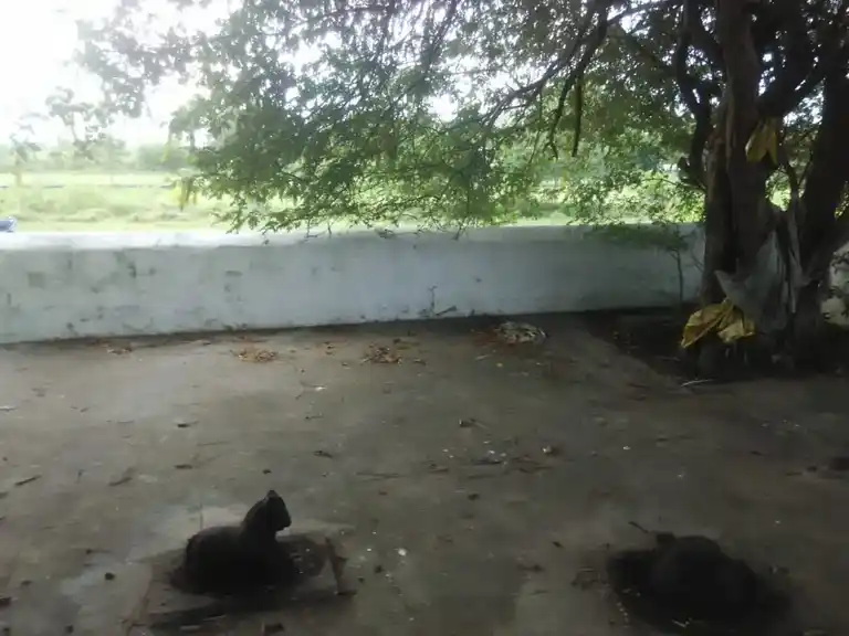 Arulmigu Mooppanar, Ayyanar Temple, Thurai Mangalam - 621220 Arulmigu Mooppanar, Ayyanar Temple,  - 621220, Perambalur - Ancient Temple Architecture and History Image 2