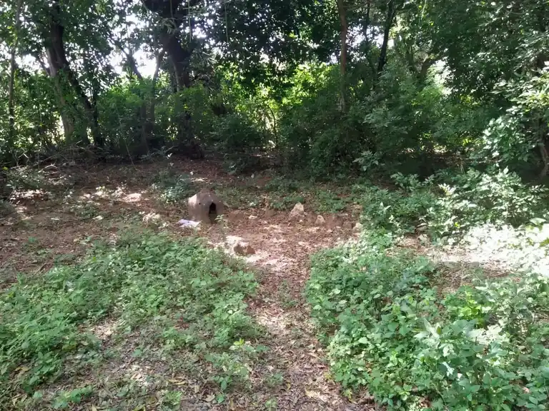 Arulmigu Mooppanar Temple, Asaveerankudikadu - 621710 Arulmigu Mooppanar Temple,  - 621710, Ariyalur - Ancient Temple Architecture and History Image 2