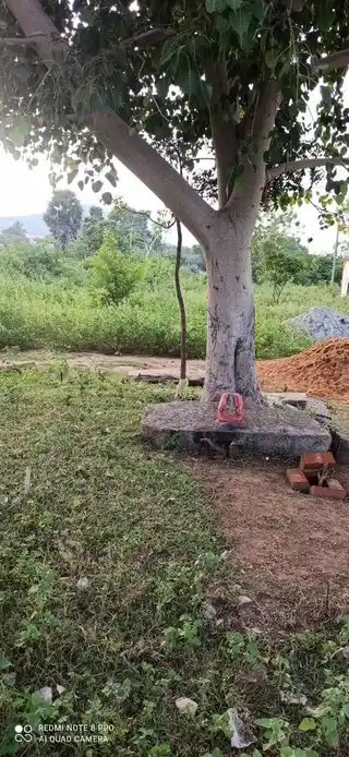 Arulmigu Moorampatti Karuppar Temple, Pannappatti - 621306