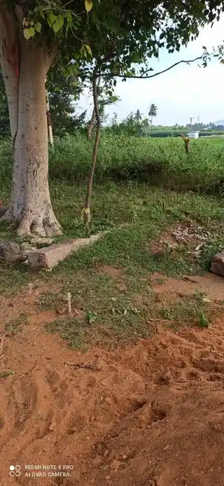 Arulmigu Moorampatti Karuppar Temple, Pannappatti - 621306 Arulmigu Moorampatti Karuppar Temple, Pannappatti - 621306, Thiruchirappalli - Ancient Temple Architecture and History Image 2