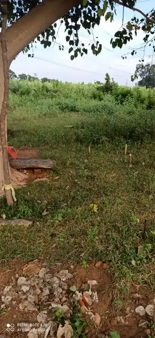 Arulmigu Moorampatti Karuppar Temple, Pannappatti - 621306 Arulmigu Moorampatti Karuppar Temple, Pannappatti - 621306, Thiruchirappalli - Ancient Temple Architecture and History Image 3