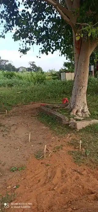 Arulmigu Moorampatti Karuppar Temple, Pannappatti - 621306 Arulmigu Moorampatti Karuppar Temple, Pannappatti - 621306, Thiruchirappalli - Ancient Temple Architecture and History Image 4