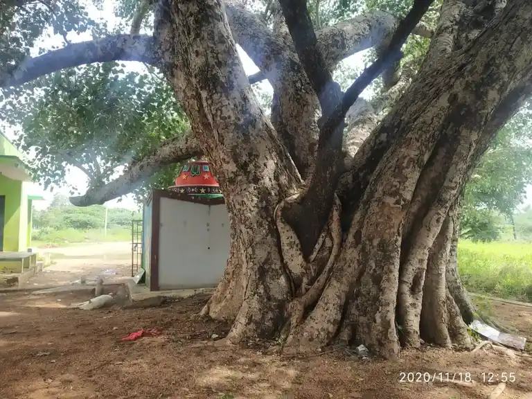 Arulmigu Moorampatti Vinayagar Temple, Mondipatti - 621306 Arulmigu Moorampatti vinayagar Temple, Mondipatti - 621306, Thiruchirappalli - Ancient Temple Architecture and History Image 3