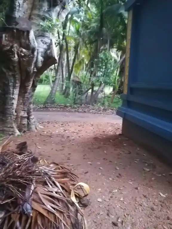 Arulmigu Mottaperumal Temple, Mannadimangalam - 625207 அருள்மிகு மொட்ட பெருமாள் திருக்கோயில், மண்ணாடிமங்கலம் - 625207, Madurai - Ancient Temple Architecture and History Image 4