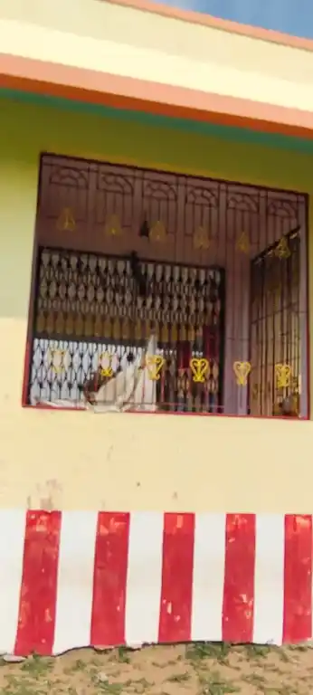 Arulmigu Mudiperutha Iyyanar Temple, Meenakshipuram - 628720 அருள்மிகு முடிபெருத்த ஐயனார் திருக்கோயில், Meenakshipuram - 628720, Thoothukudi - Ancient Temple Architecture and History Image 3