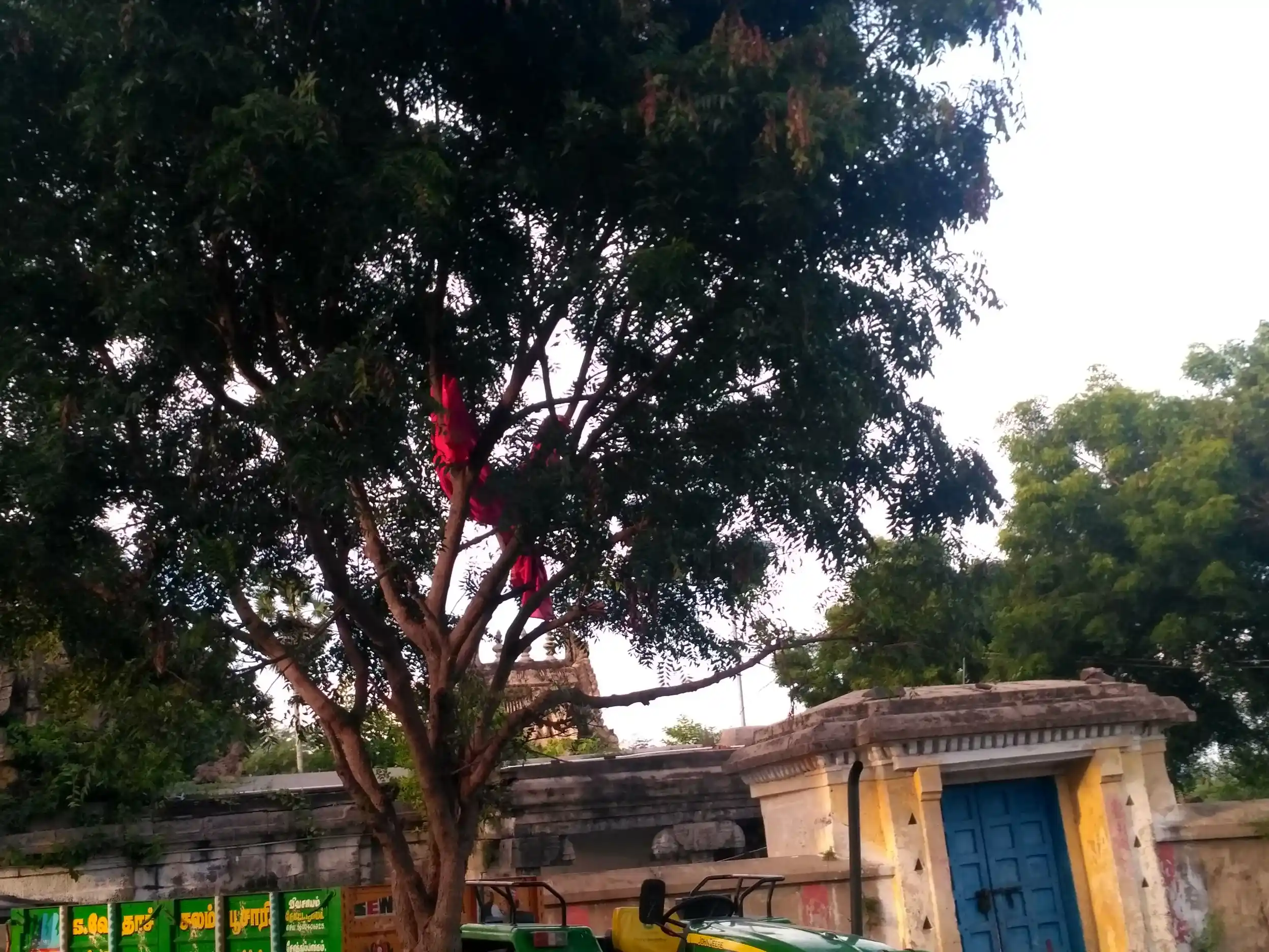 Arulmigu Muktheswarar Temple, Thotanaval - 603303 அருள்மிகு முக்தீஸ்வரர் திருக்கோயில், Thotanaval - 603303, Chengalpattu - Ancient Temple Architecture and History Image 2