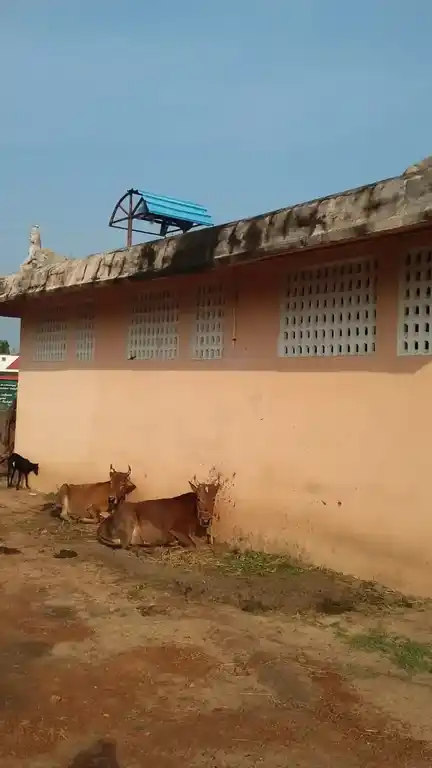 Arulmigu Mulachimariyaman Temple, Kokkaladi - 614712 அருள்மிகு முள்ளாச்சி மாரியம்மன் திருக்கோயில், Kokkaladi - 614712, Thiruvarur - Ancient Temple Architecture and History Image 6