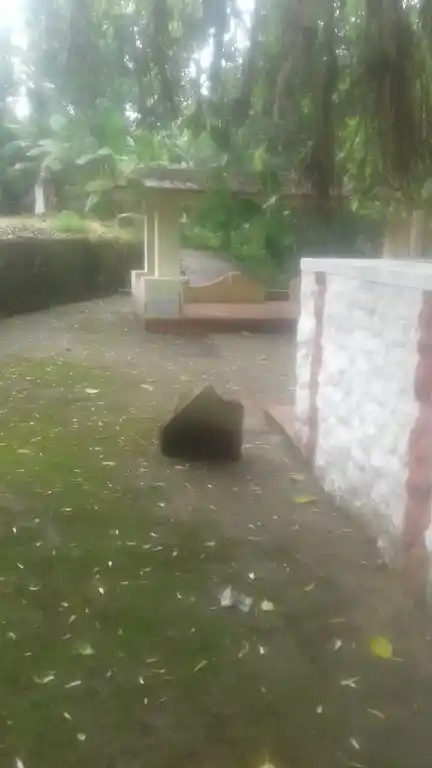 Arulmigu Mulamoodu Sastha Temple, Mulamoodu, Nattalam - 629165 Arulmigu Mulamoodu Sastha Temple, Mulamoodu, Nattalam - 629165, Kanyakumari - Ancient Temple Architecture and History Image 4