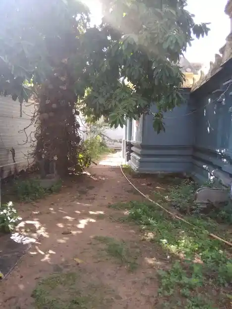 Arulmigu Mullaivaneswarar Temple, Mullaivasal - 614404 அருள்மிகு முல்லைவனேஸ்வரர் திருக்கோயில், முல்லைவாசல் - 614404, Thiruvarur - Ancient Temple Architecture and History Image 2