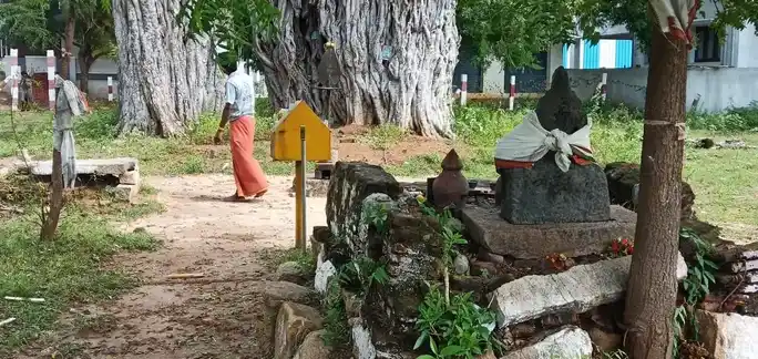Arulmigu Muneeswarar Temple, Keelakurichi - 620013 அருள்மிகு முனீஸ்வரர் திருக்கோயில், அரசங்குடி, கீழக்குறிச்சி., அரசங்குடி, கீழக்குறிச்சி. - 620013, Thiruchirappalli - Ancient Temple Architecture and History Image 3