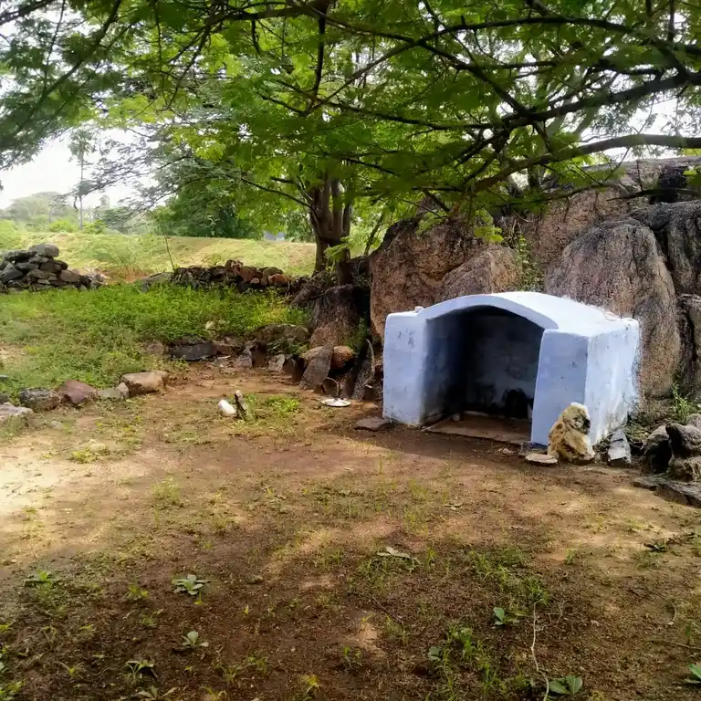 Arulmigu Muneeswarar Temple, Palappanpatti - 624616 அருள்மிகு மூனிஸ்வரர் கோயில், Palappanpatti - 624616, Dindigul - Ancient Temple Architecture and History Image 4