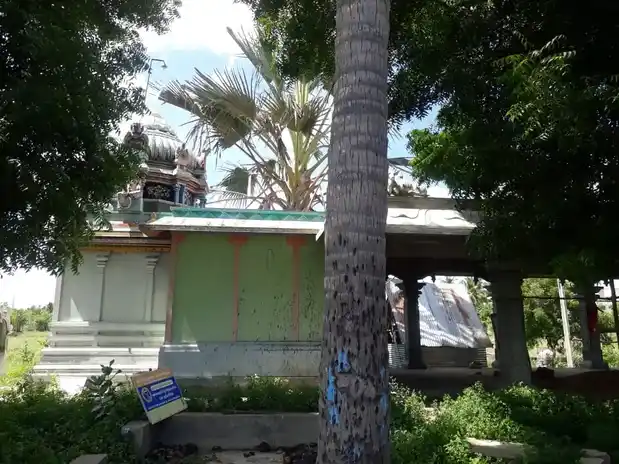 Arulmigu Muneeswarar Temple, Ponnavarayankottai - 614602 அருள்மிகு முனீஸ்வரர் சுவாமி திருக்கோயில், Ponnavarayankottai - 614602, Thanjavur - Ancient Temple Architecture and History Image 3