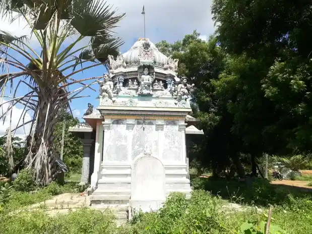 Arulmigu Muneeswarar Temple, Ponnavarayankottai - 614602 அருள்மிகு முனீஸ்வரர் சுவாமி திருக்கோயில், Ponnavarayankottai - 614602, Thanjavur - Ancient Temple Architecture and History Image 5