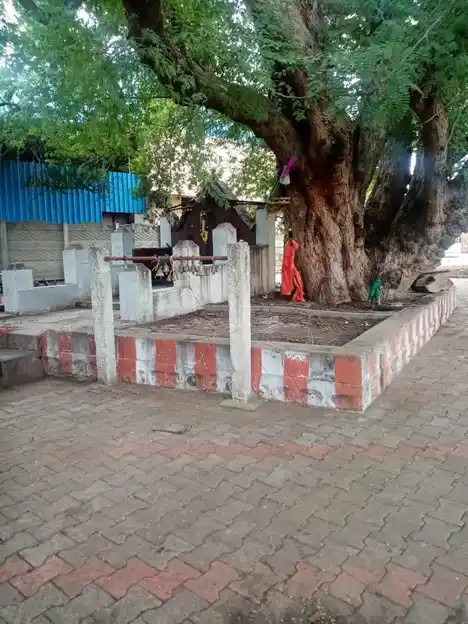Arulmigu Muneeswarar Temple, Thirukosthiyur - 630201 Arulmigu Muneeswarar Temple, Thirukosthiyur - 630201, Sivagangai - Ancient Temple Architecture and History Image 4