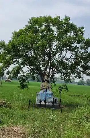 Arulmigu Munianar Temple, Kothankudi - 612303 Arulmigu Munianar Temple, Kothankudi - 612303, Thanjavur - Ancient Temple Architecture and History Image 5