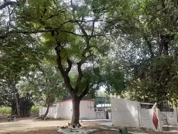 Arulmigu Muniappan Temple, Avalpundurai - 638115 அருள்மிகு முனியப்பன் திருக்கோயில், Avalpundurai - 638115, Erode - Ancient Temple Architecture and History Image 3