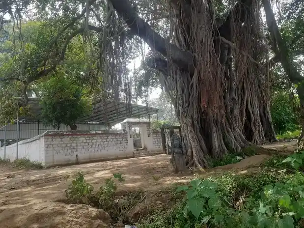 Arulmigu Muniappan Temple, Kangayampalayam - 638104 அருள்மிகு முனியப்பன் திருக்கோயில், Kangayampalayam - 638104, Erode - Ancient Temple Architecture and History Image 4