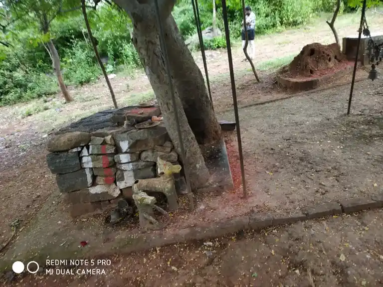 Arulmigu Muniappan Temple, Mollachettipatti, Pachanampatti - 636455
