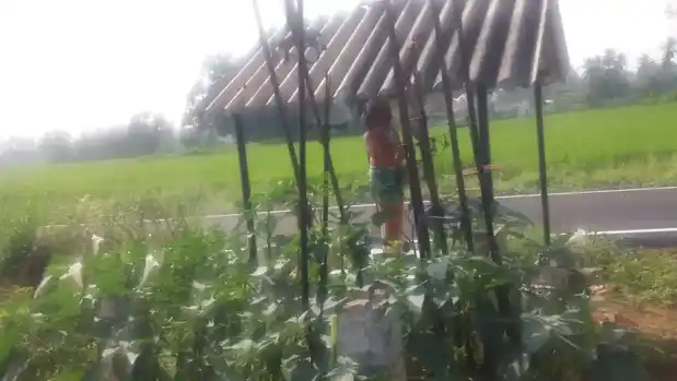 Arulmigu Muniappan Temple, Pallapalayam, Pallapalayam - 638116 அருள்மிகு முனியப்பன் திருக்கோயில், பள்ளபாளையம், Pallapalayam - 638116, Erode - Ancient Temple Architecture and History Image 2