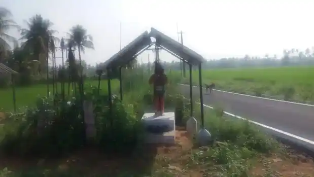 Arulmigu Muniappan Temple, Pallapalayam, Pallapalayam - 638116 அருள்மிகு முனியப்பன் திருக்கோயில், பள்ளபாளையம், Pallapalayam - 638116, Erode - Ancient Temple Architecture and History Image 3