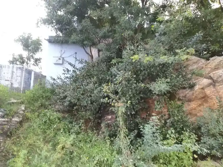 Arulmigu Muniappan Temple, Poorlakuttai, Gonur - 636404 அருள்மிகு முனியப்பன் திருக்கோயில், Poorlakuttai, Gonur - 636404, Salem - Ancient Temple Architecture and History Image 4