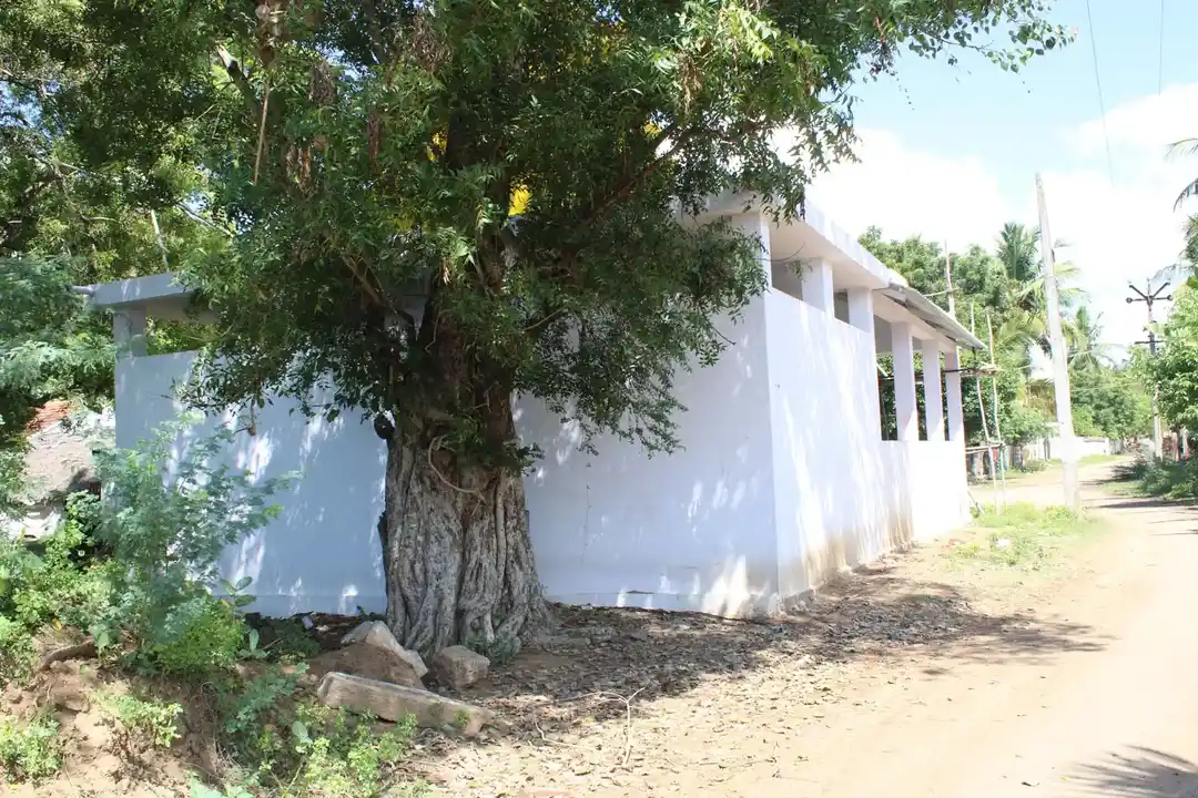 Arulmigu Muniappar Temple, Thirumanthurai - 609804 அருள்மிகு முனியப்பர் திருக்கோயில், திருமந்துறை - 609804, Thanjavur - Ancient Temple Architecture and History Image 3