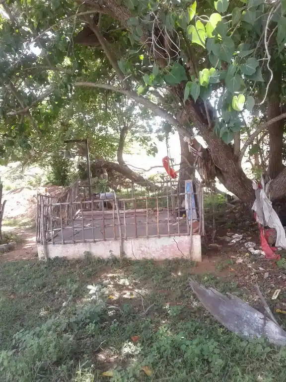 Arulmigu Munikkoil Temple, Maravanvayal - 614601 அருள்மிகு முனிக்கோயில்,மறவன்வயல்,பட்டுக்கோட்டை வட்டம். கோயில், மறவன்வயல் - 614601, Thanjavur - Ancient Temple Architecture and History Image 4