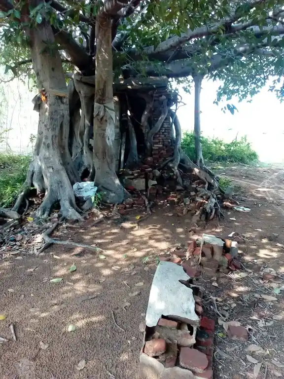 Arulmigu Muniswarar Temple, Chandirapadi - 609304 Temple